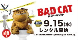 9月15日(水)レンタル開始『バッド・キャット』