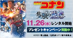 画像：11月26日(水)レンタル開始 劇場版『名探偵コナン隻眼の残像』