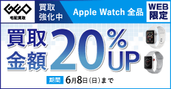 【WEB限定】AppleWatch 全品期間限定20%UP