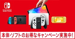 画像：『Nintendo Switch /Nintendo Switch Lite /有機ELモデル』