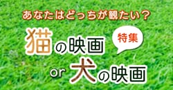 あなたはどっちが観たい？『猫の映画 or 犬の映画』