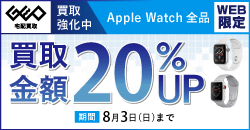 画像：【WEB限定】AppleWatch 全品期間限定20%UP