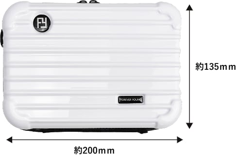 ミニキャリーポーチⓁ 各色 GRDF-MC01L 製品情報2