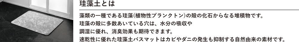 珪藻土ソフトバスマット Lサイズ 各種 YB-L6039DSGY 製品情報1