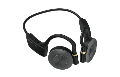 ダブルレゾナンスドライバーヘッドホン SW22 GRJS-DRDH SW22 BK 製品画像05