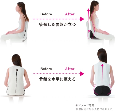 骨盤サポートクッション 4571414694049 製品情報1