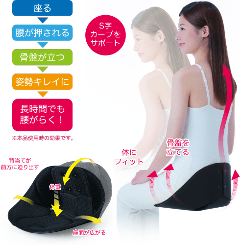骨盤サポートクッション 4571414694049 製品情報2