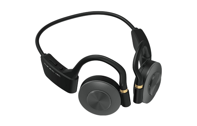 ダブルレゾナンスドライバーヘッドホン SW22 GRJS-DRDH SW22 BK - GEO