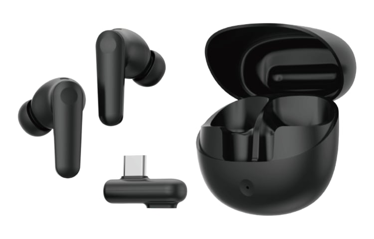 ワイヤレスレシーバー付き 完全ワイヤレスイヤホン GRSWT-TWS TS596B