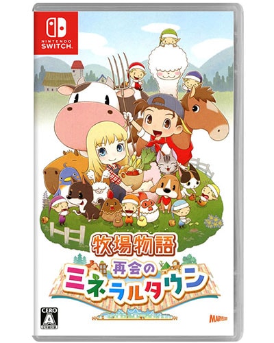 ゲームパッケージ