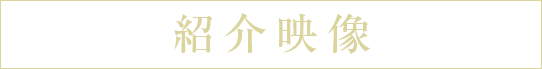 動画紹介