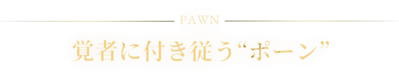 PAWN o҂ɕt]g|[h