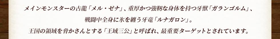 メインモンスターの古龍「メル・ゼナ」、重厚かつ強靭な身体を持つ牙獣「ガランゴルム」、戦闘中全身に氷を纏う牙竜「ルナガロン」。王国の領域を脅かさんとする「王域三公」と呼ばれ、最重要ターゲットとされています。