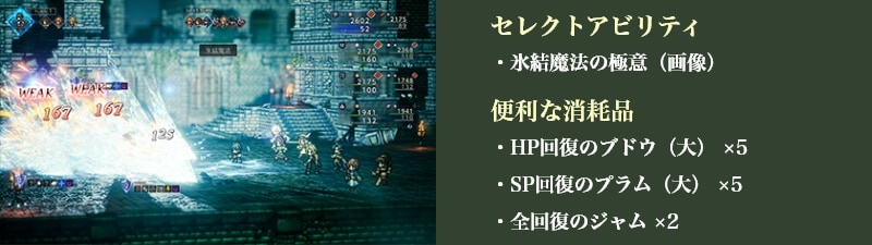 �Z���N�g�A�r���e�B �E�X�����@�̋ɈӁi�摜�j �֗��ȏ��Օi �EHP�񕜂̃u�h�E�i��j�~5�ESP�񕜂̃v�����i��j�~5�E�S�񕜂̃W�����~2