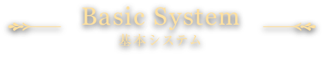 Basic System