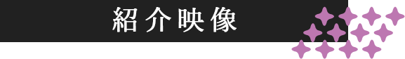 動画紹介