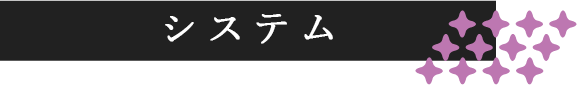 システム