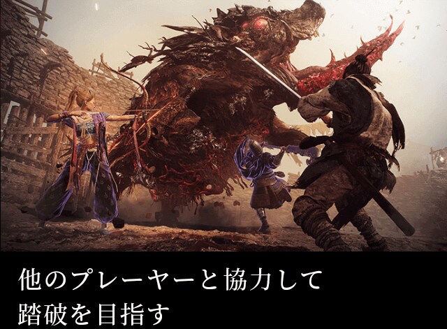 ONLINE 他のプレーヤーと協力して 踏破を目指す
