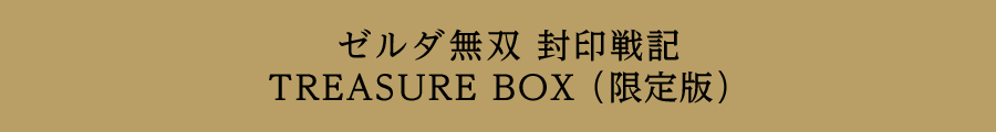 �[���_���o �����L TREASURE BOX�i����Łj