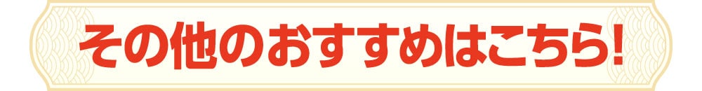その他のおすすめはこちら！