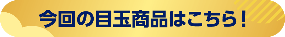 今回の目玉商品はこちら！