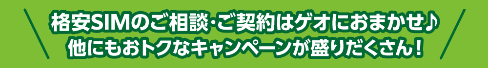 格安SIMのご相談・ご契約はゲオにおまかせ♪他にもおトクなキャンペーンが盛りだくさん！