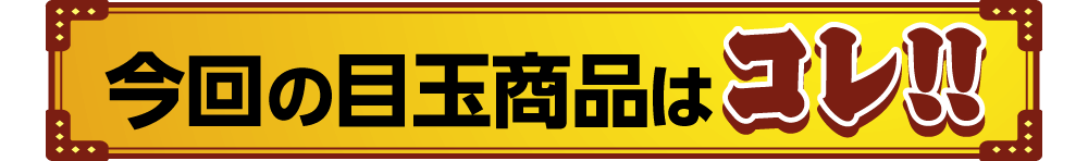 今回の目玉商品はコレ！