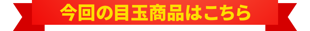 今回の目玉商品はこちら