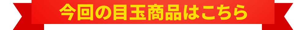 今回の目玉商品はこちら