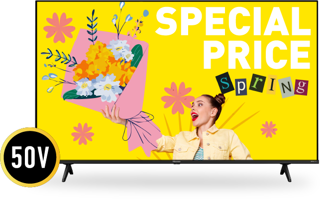 ハイセンス 4Kチューナー内蔵 / HDR対応50V型液晶テレビ 50E65K