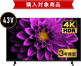 43E65K ハイセンス 4Kチューナー内蔵/HDR対応 43V型液晶テレビ