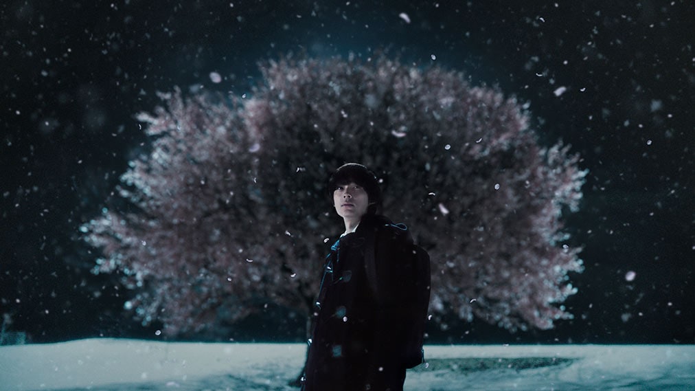 秒速5センチメートル 場面写真1