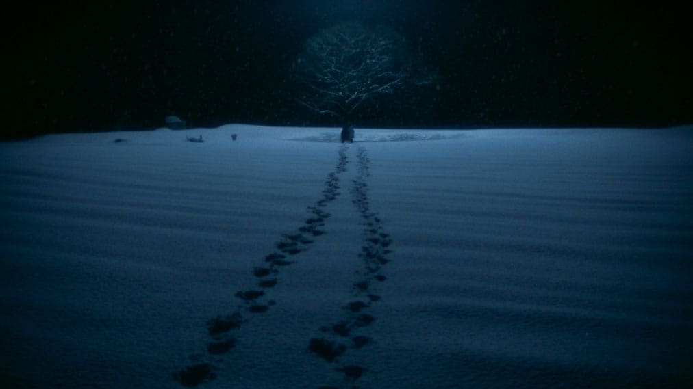 秒速5センチメートル 場面写真4