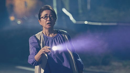 ドールハウス 場面写真9