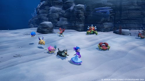 ドラゴンクエストモンスターズ４　枯れ木の国のビアンカ・フローラ ゲーム画面9