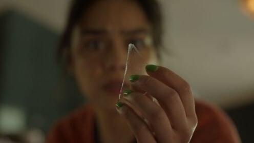 ファイナル・デッドブラッド 場面写真7