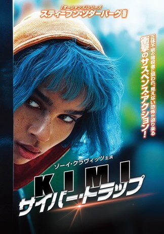 リトル・シングス DVDのパッケージ