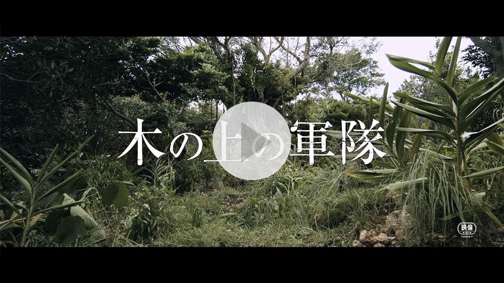 木の上の軍隊 紹介動画