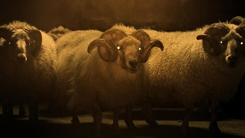 LAMB／ラム 場面写真8
