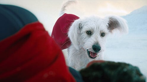 スーパーマン 場面写真7