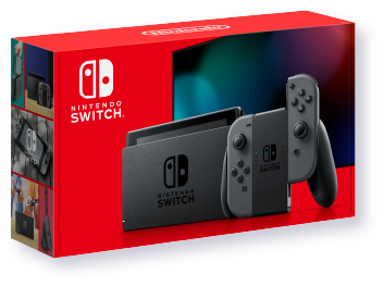 画像：Nintendo Switch グレー